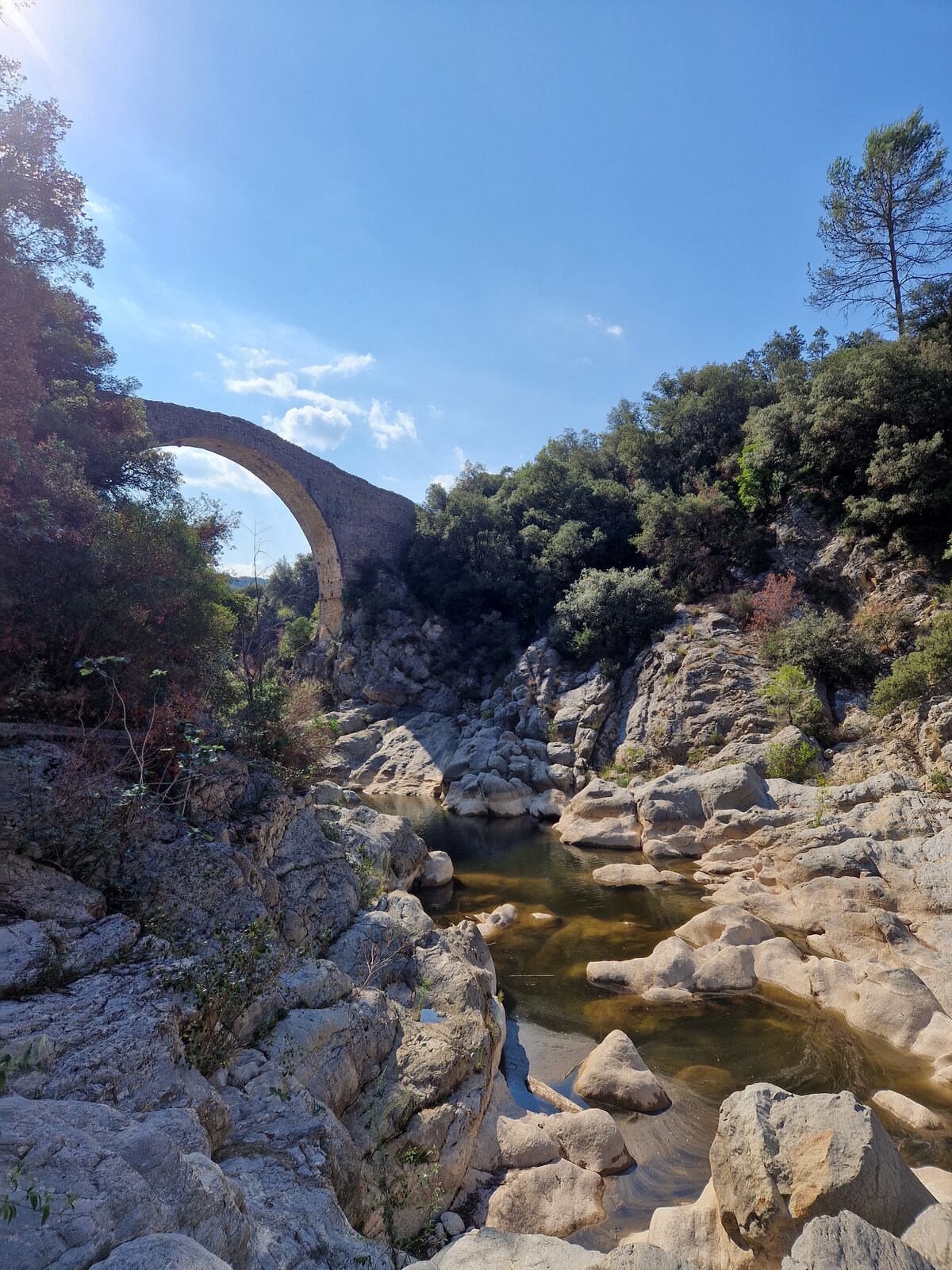 20220920_161155.jpg