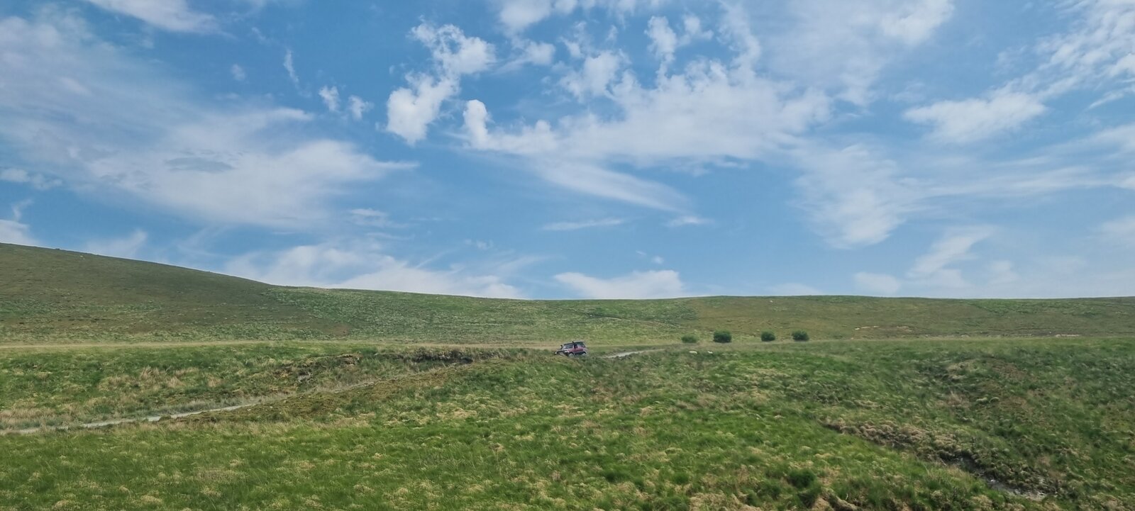 20230610_132439.jpg