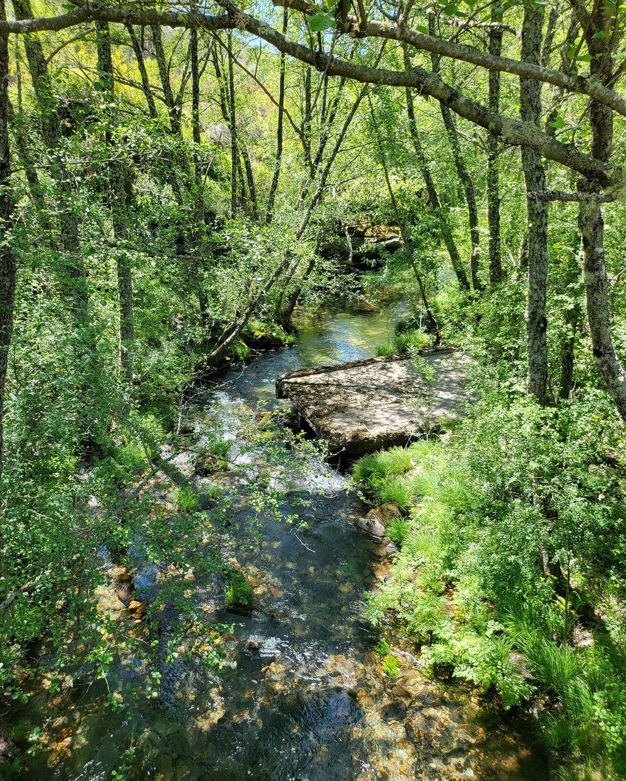 20240528_140148.jpg