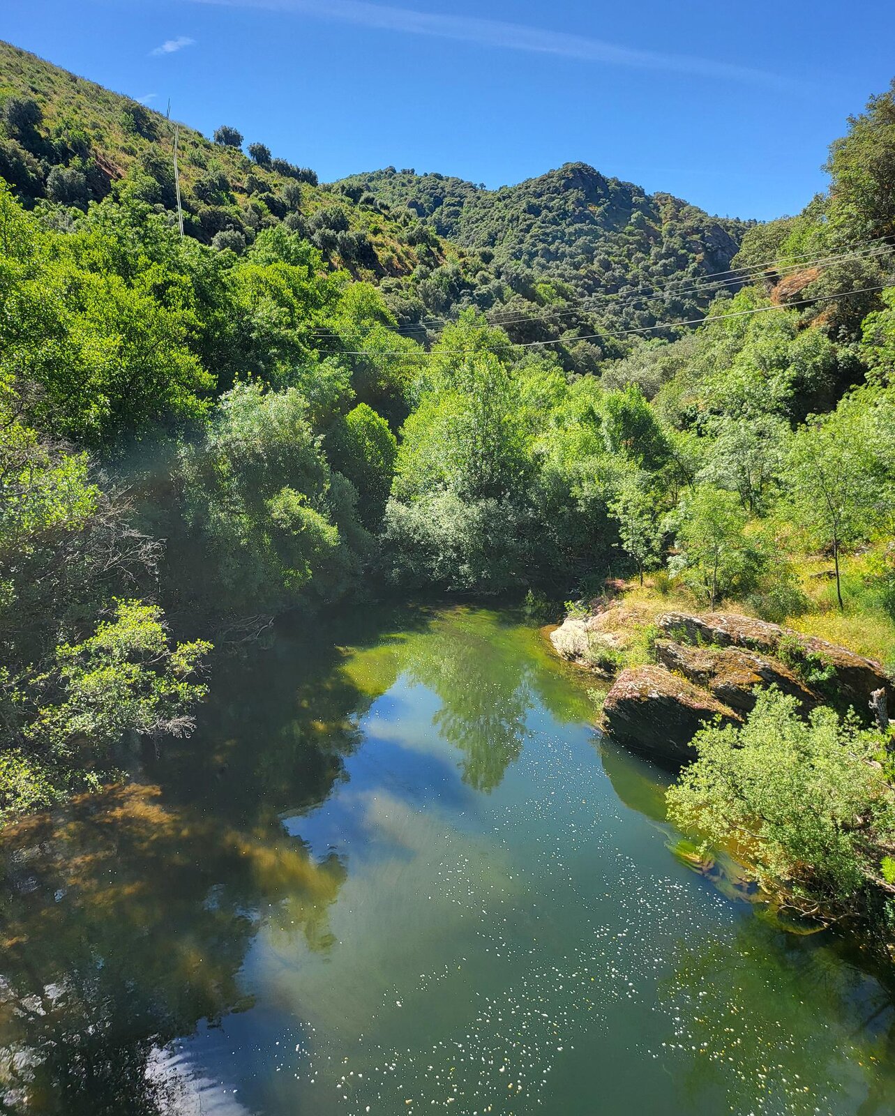20240530_103101.jpg