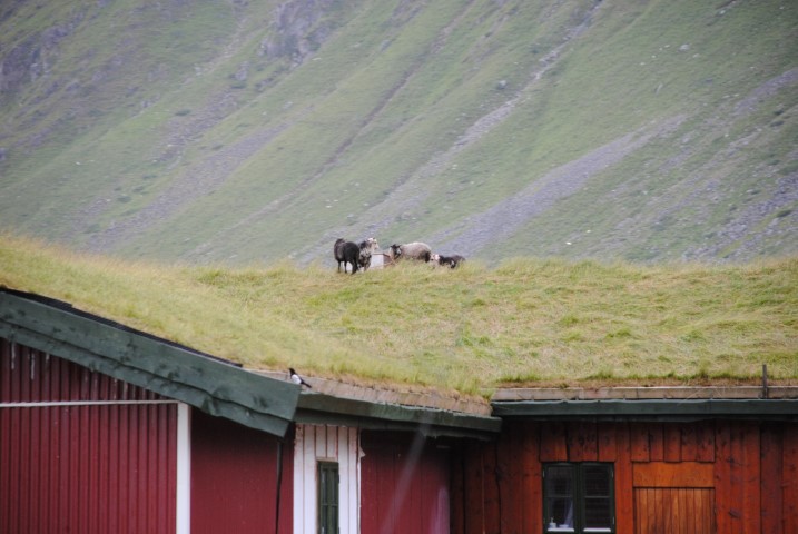 207.JPG