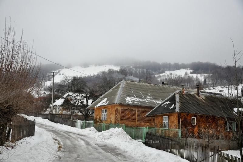 20818876yg.jpg