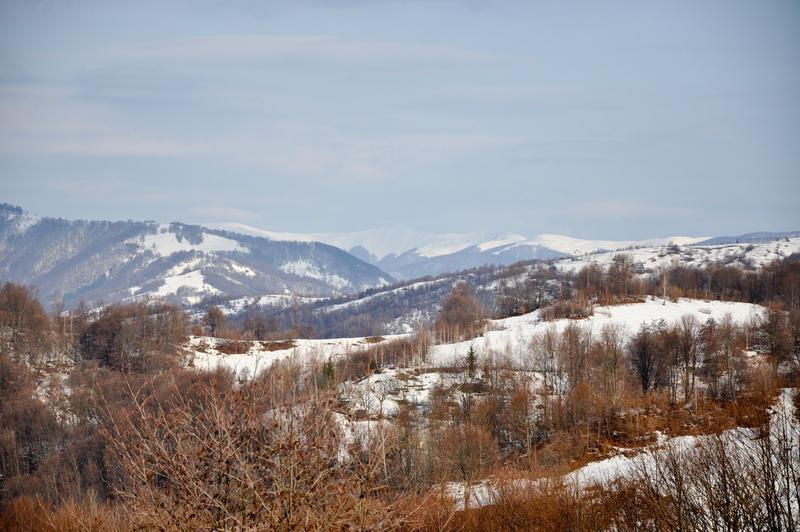 20835169hl.jpg