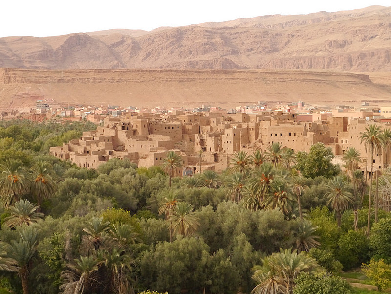 23416579194_fc7baaea1a_c.jpg