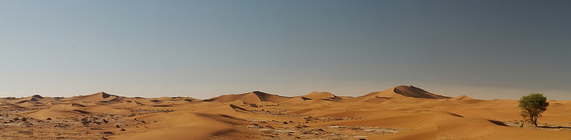 23899548541_f3939fc2ab_c.jpg
