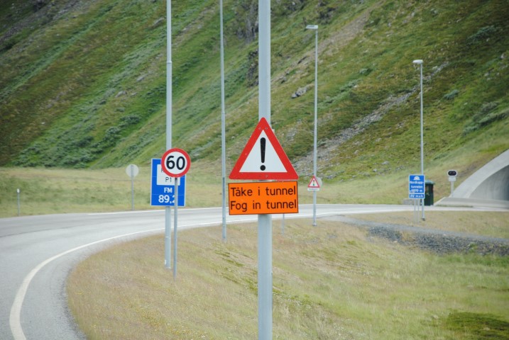 239.JPG