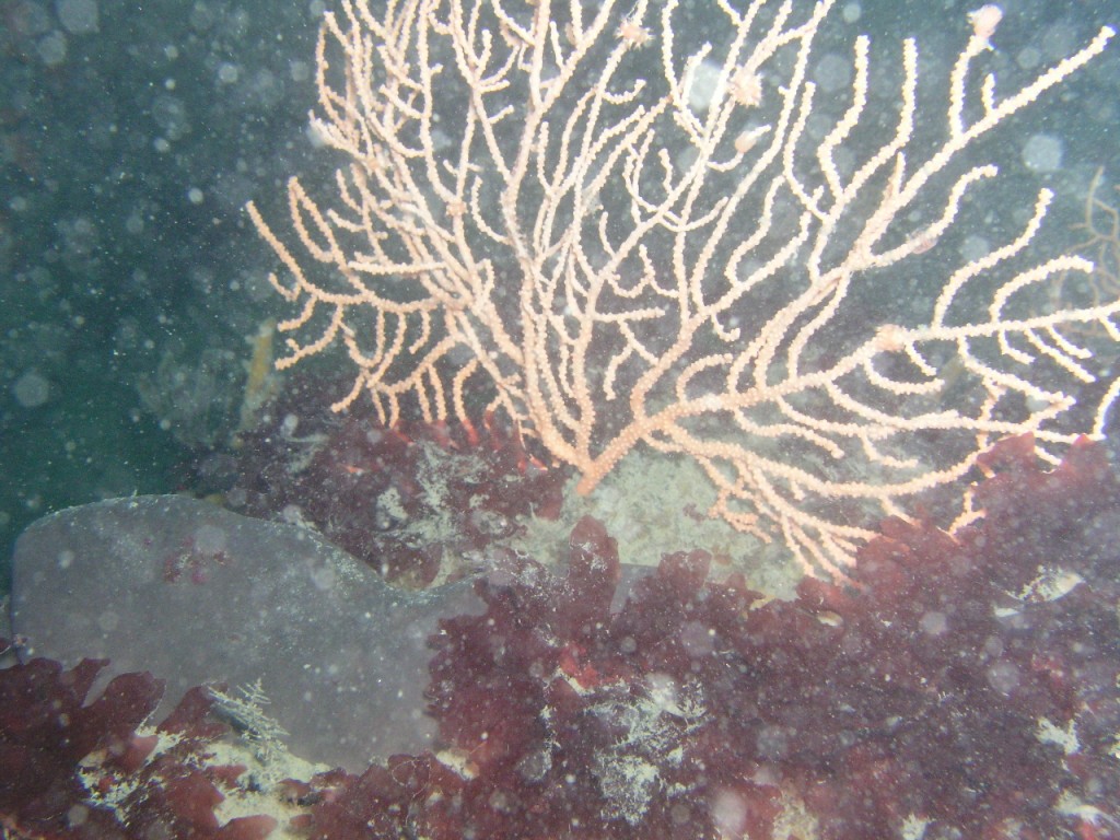 24_zps165f0552.jpg