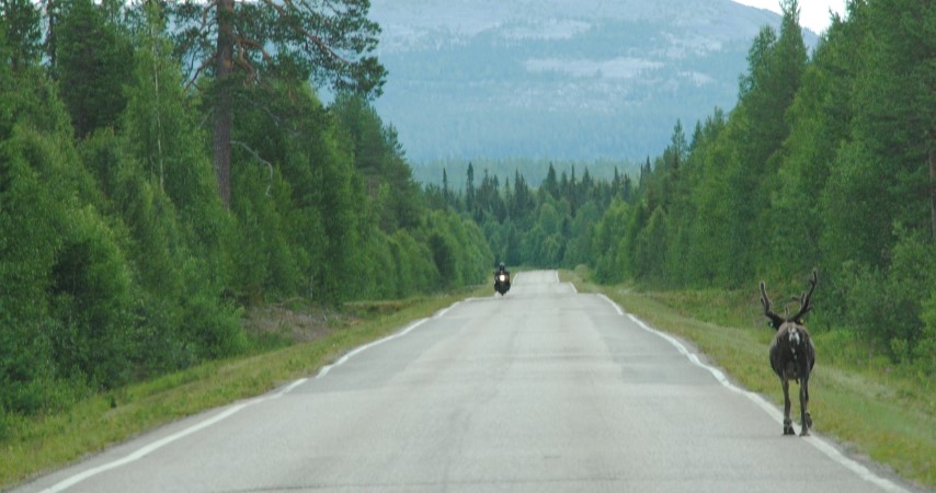 258.JPG