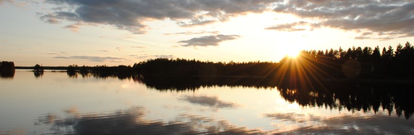 263.JPG