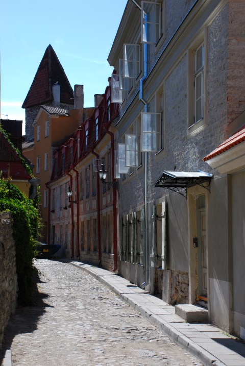 273.JPG