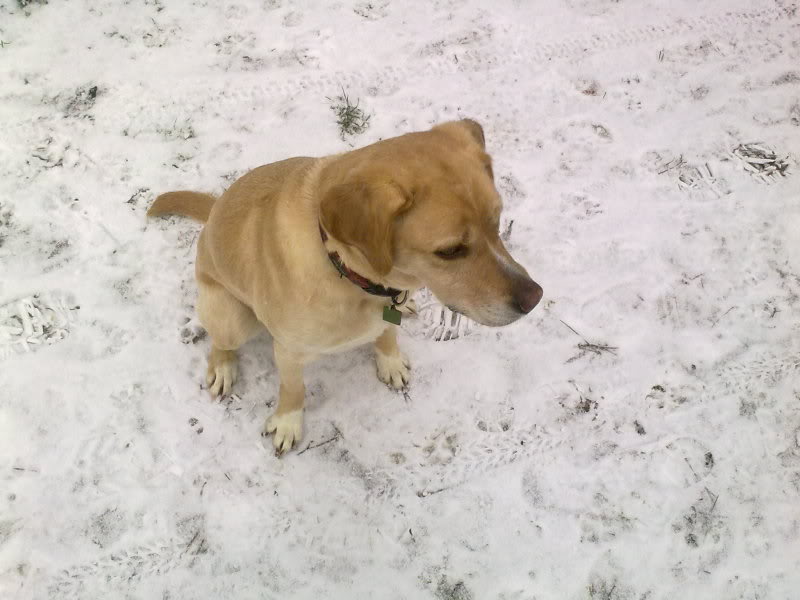 28112010092.jpg