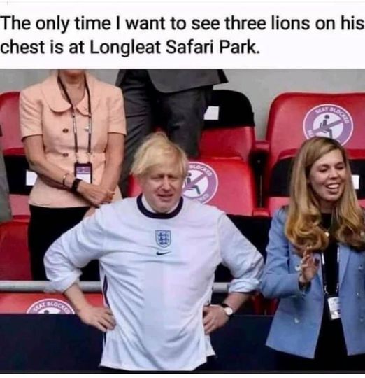 3 lions .jpg