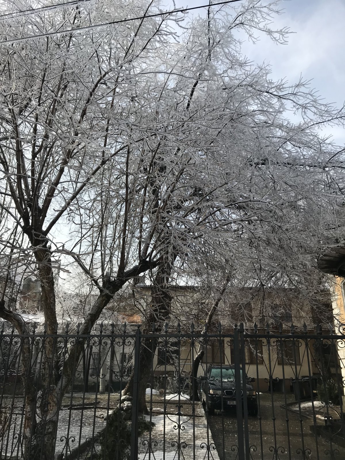 3A28BC79-E80A-44F3-A4D6-BA5DF391BA67.jpeg