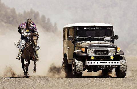 40withhorse_zps42bec0ae.jpg