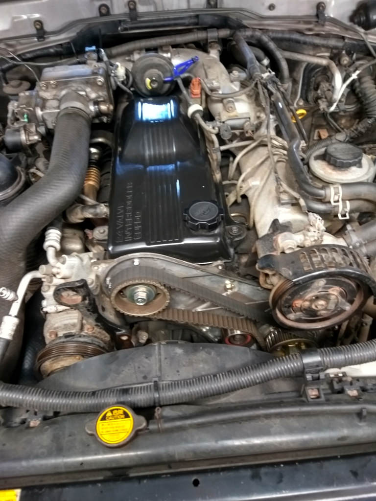 45296509431_e5fa462544_b.jpg