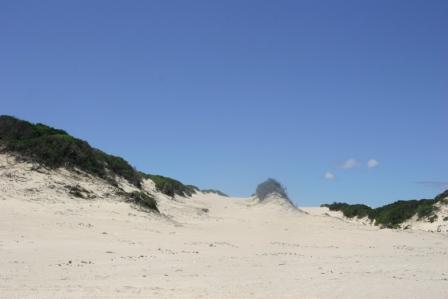 5.JPG