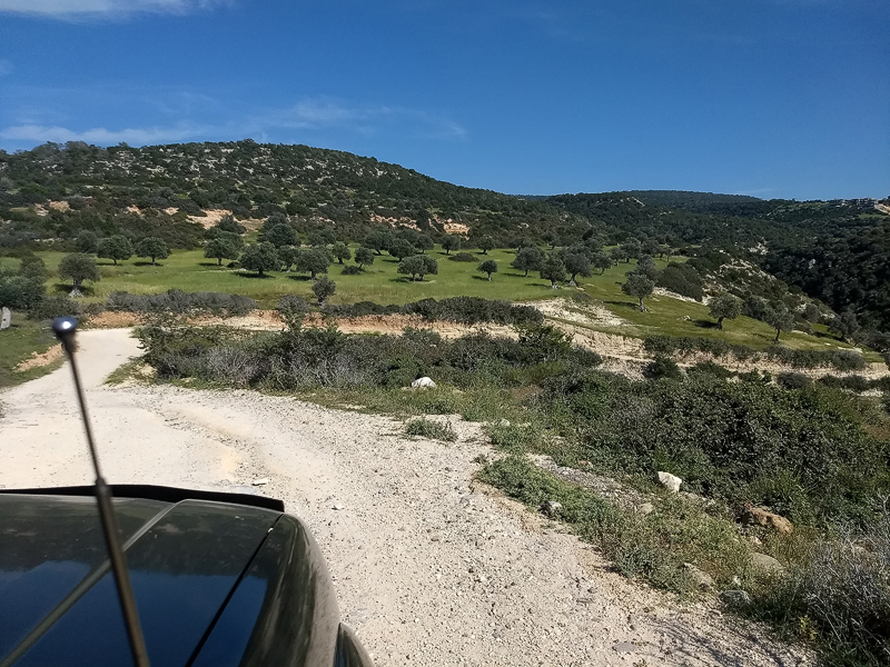 6._Olive_groves.jpg