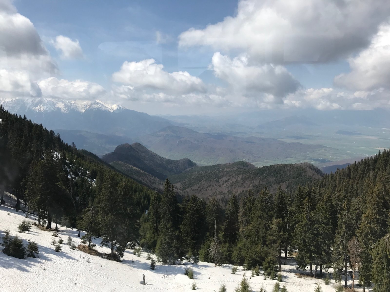 8A014006-11D6-4D87-96F1-9665C33E137D.jpeg