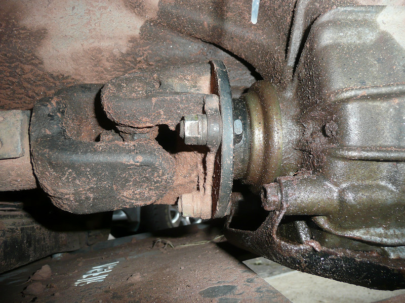 956173286_MPm2T-L.jpg