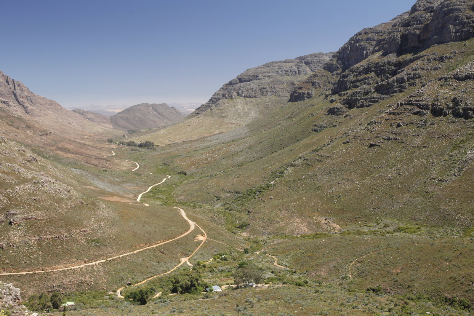 _MG_3667.JPG