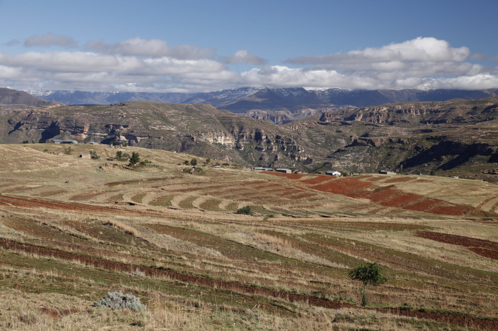 _MG_3969.JPG