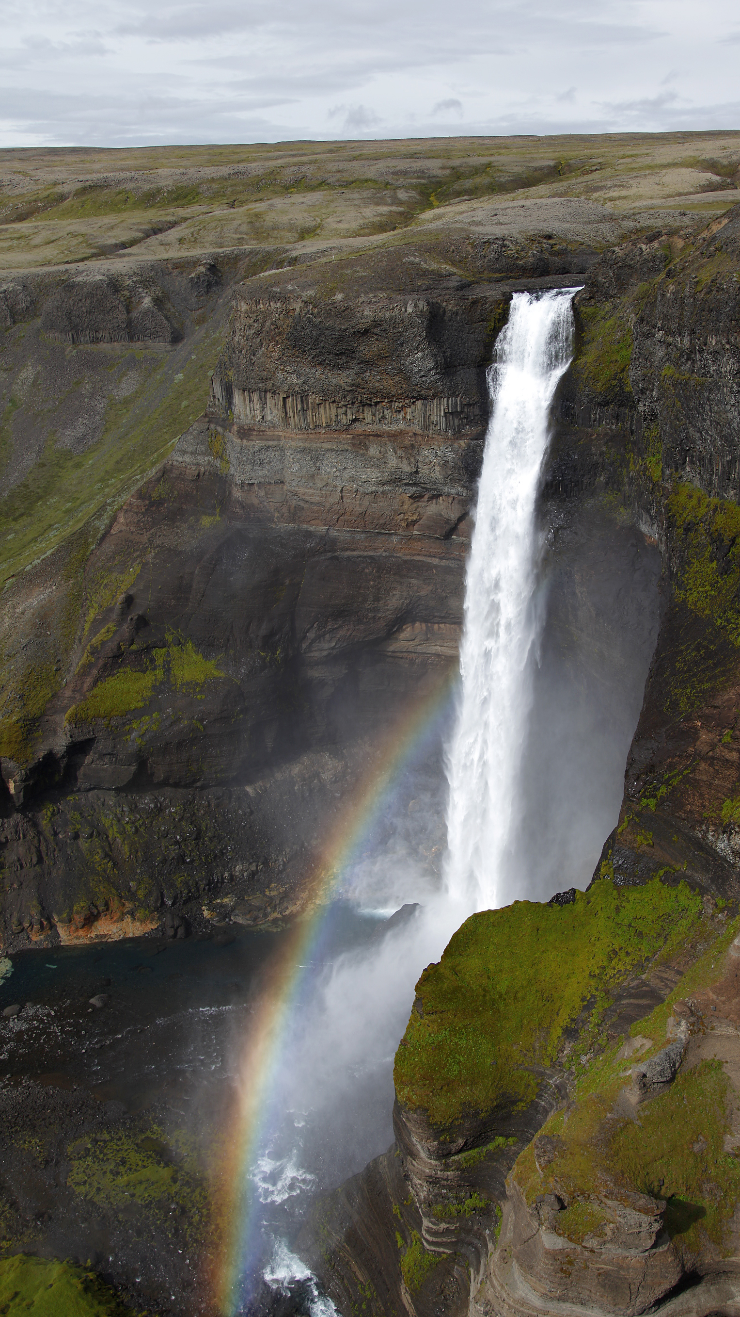 _MG_4115 9x16.jpg