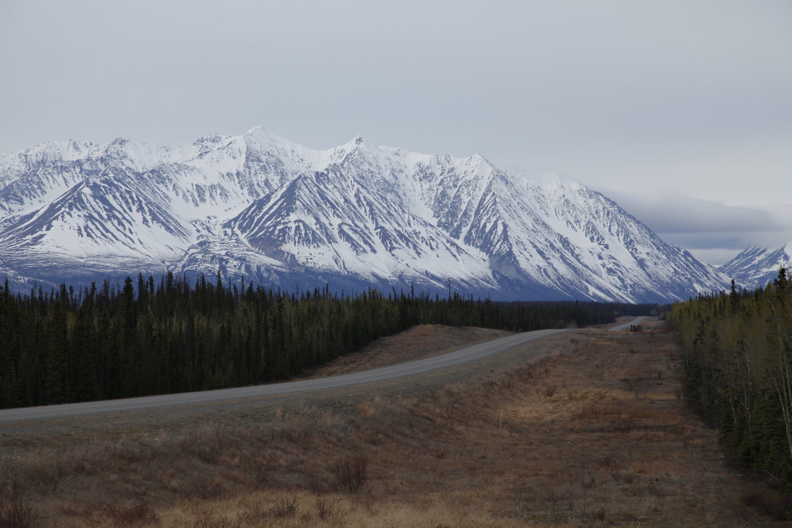 _MG_5296.JPG