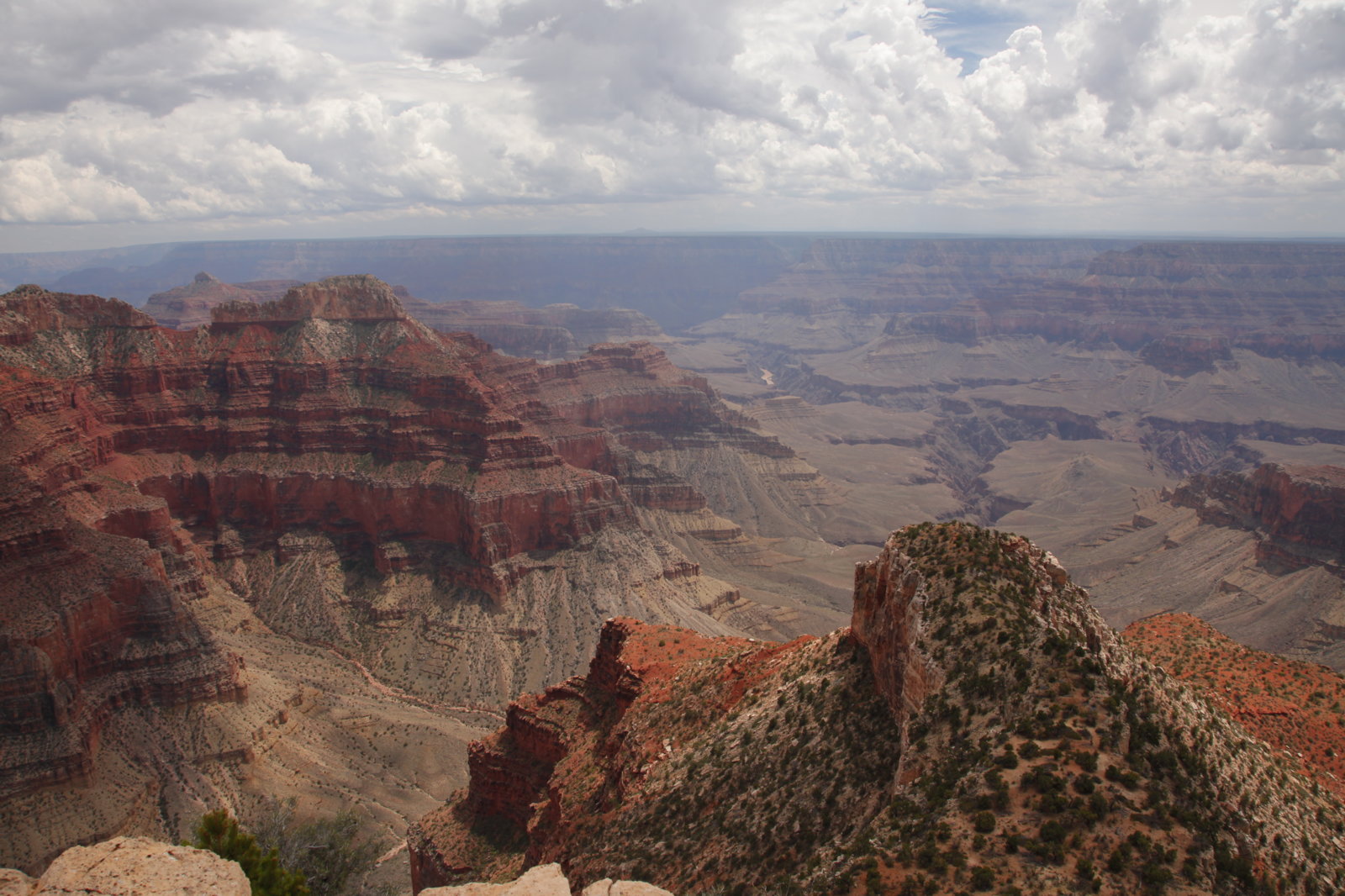 _MG_8008.JPG