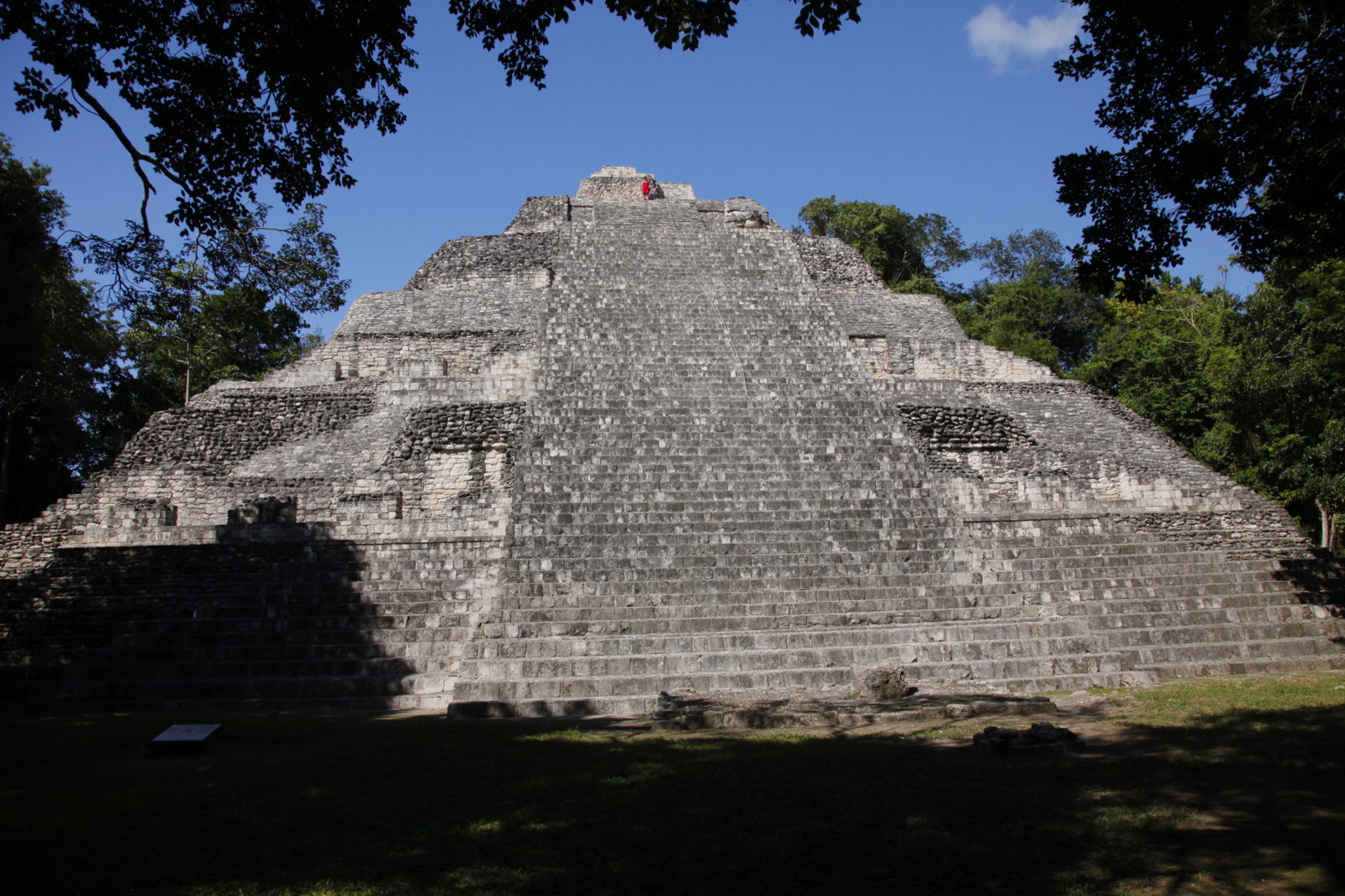 _MG_8528.JPG