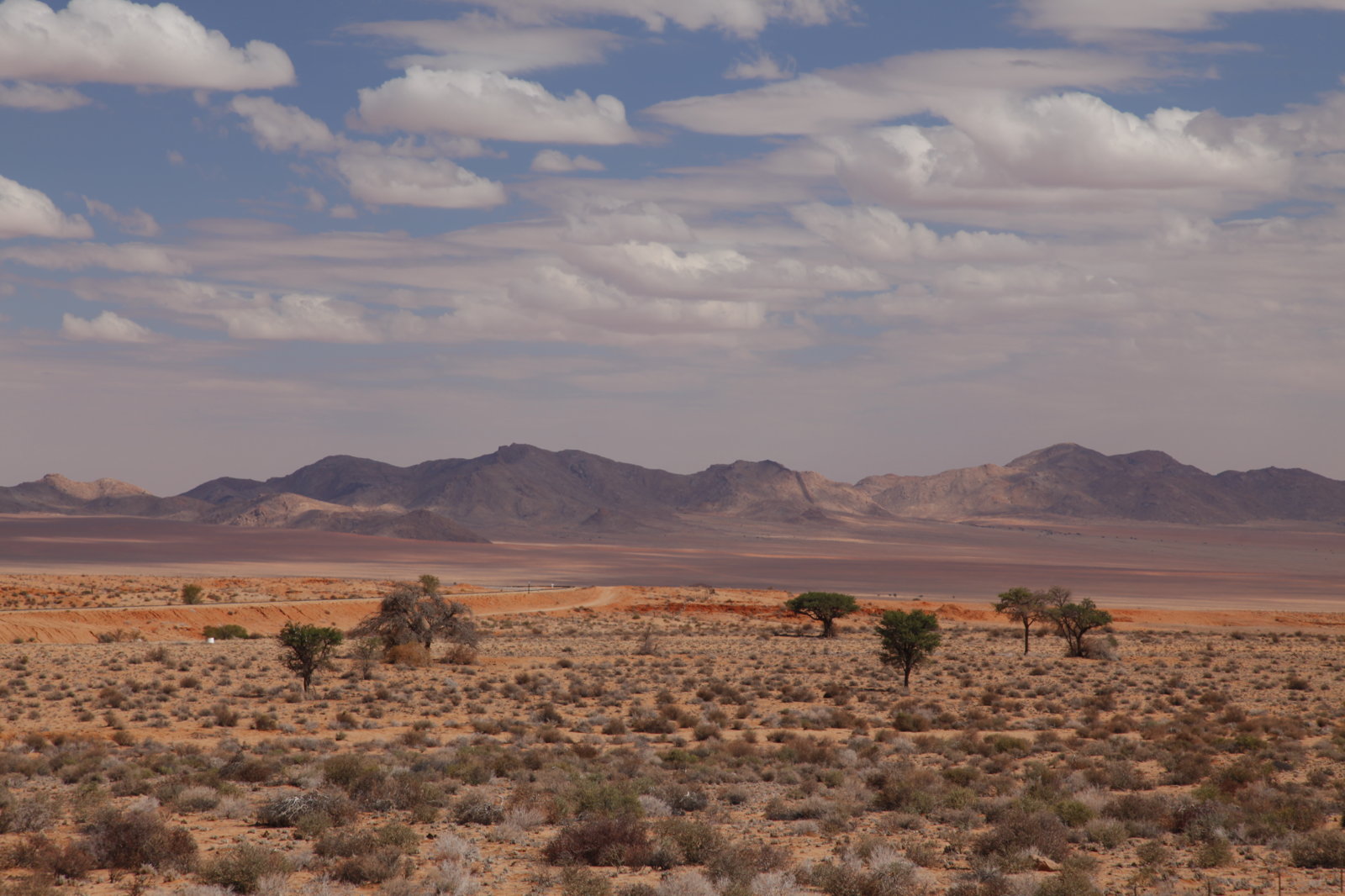 _MG_9522.JPG