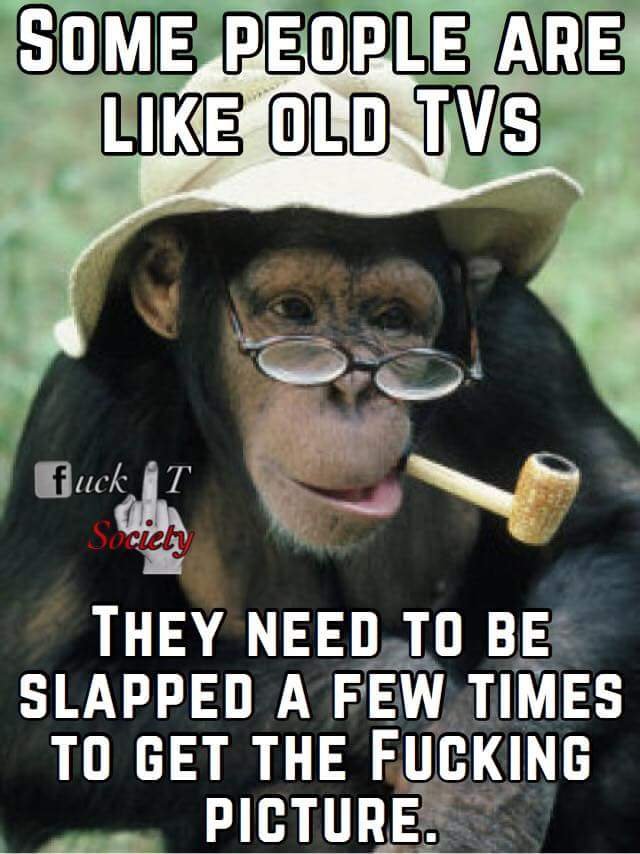 a28e739db5a73bc3e33a2abaab92e63c.jpg