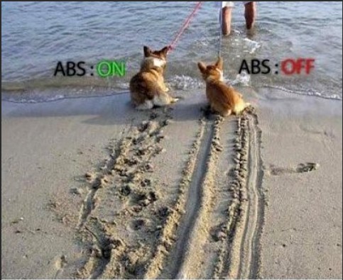 ABS.jpg