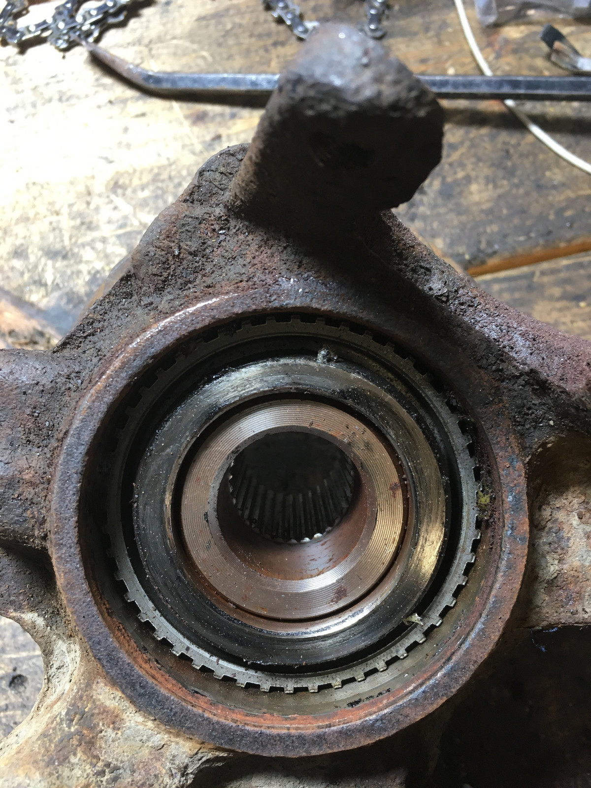 Abs-ring.jpg