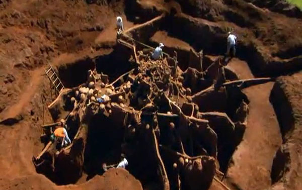 ant-colony-excavated.jpg