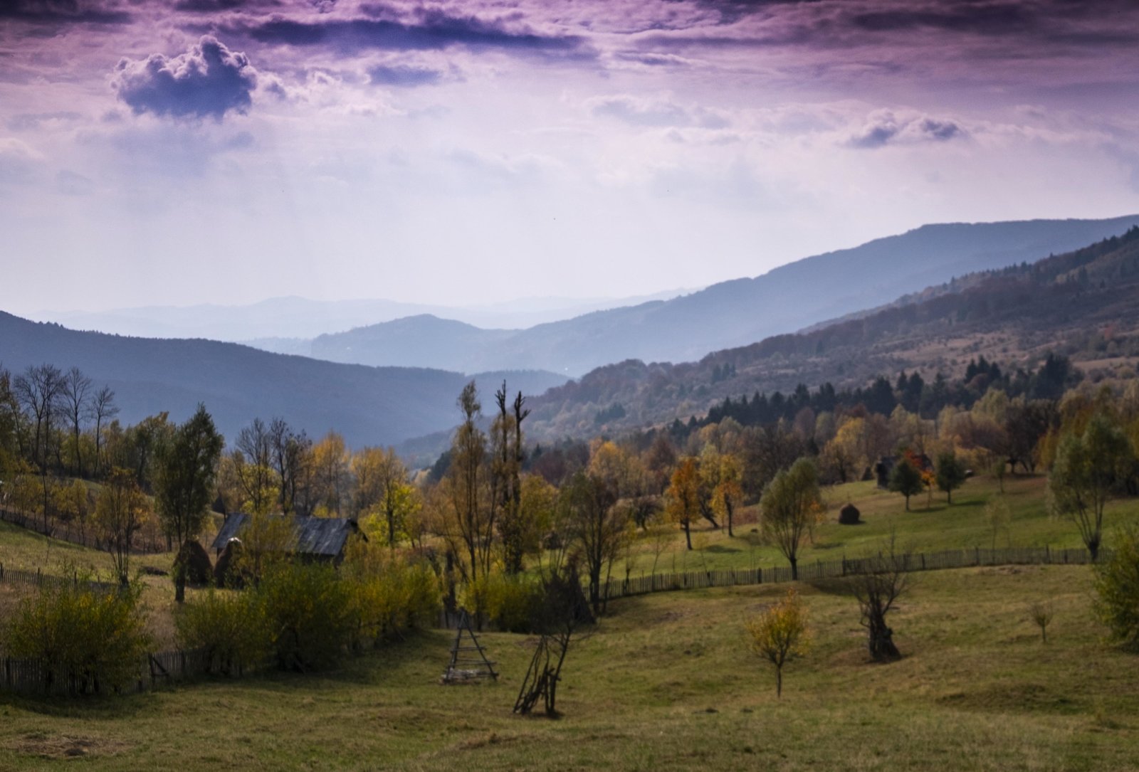 autumn colours in Romania smaller.jpg