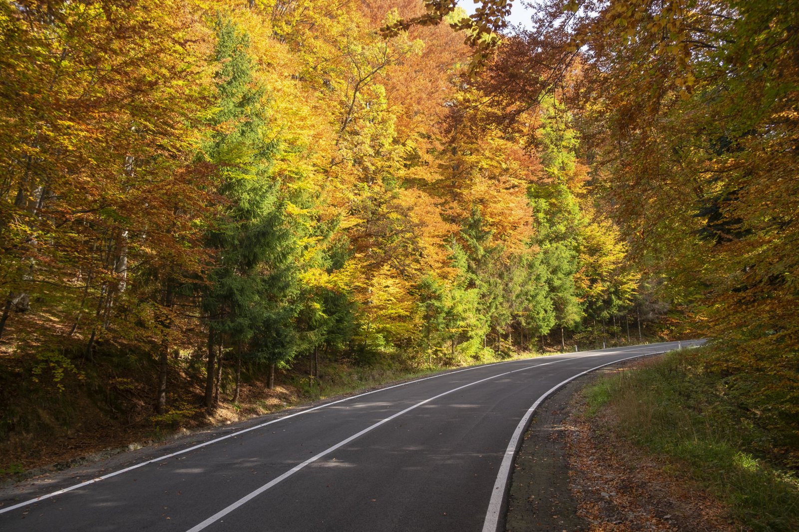 autumn colours on transfag smaller.jpg