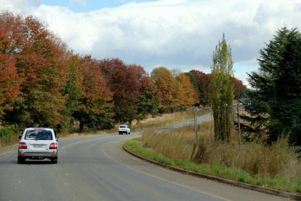 autumn_trees.jpe