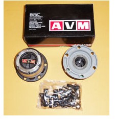 AVM.jpg
