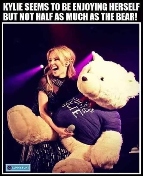 bear.jpg