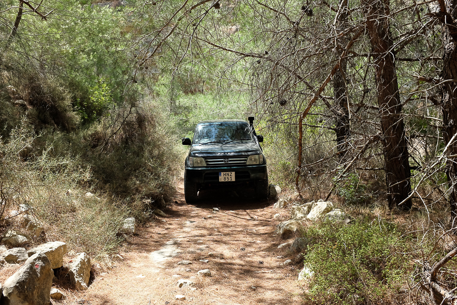 BFT-06.08.2018_(4_of_18).jpg