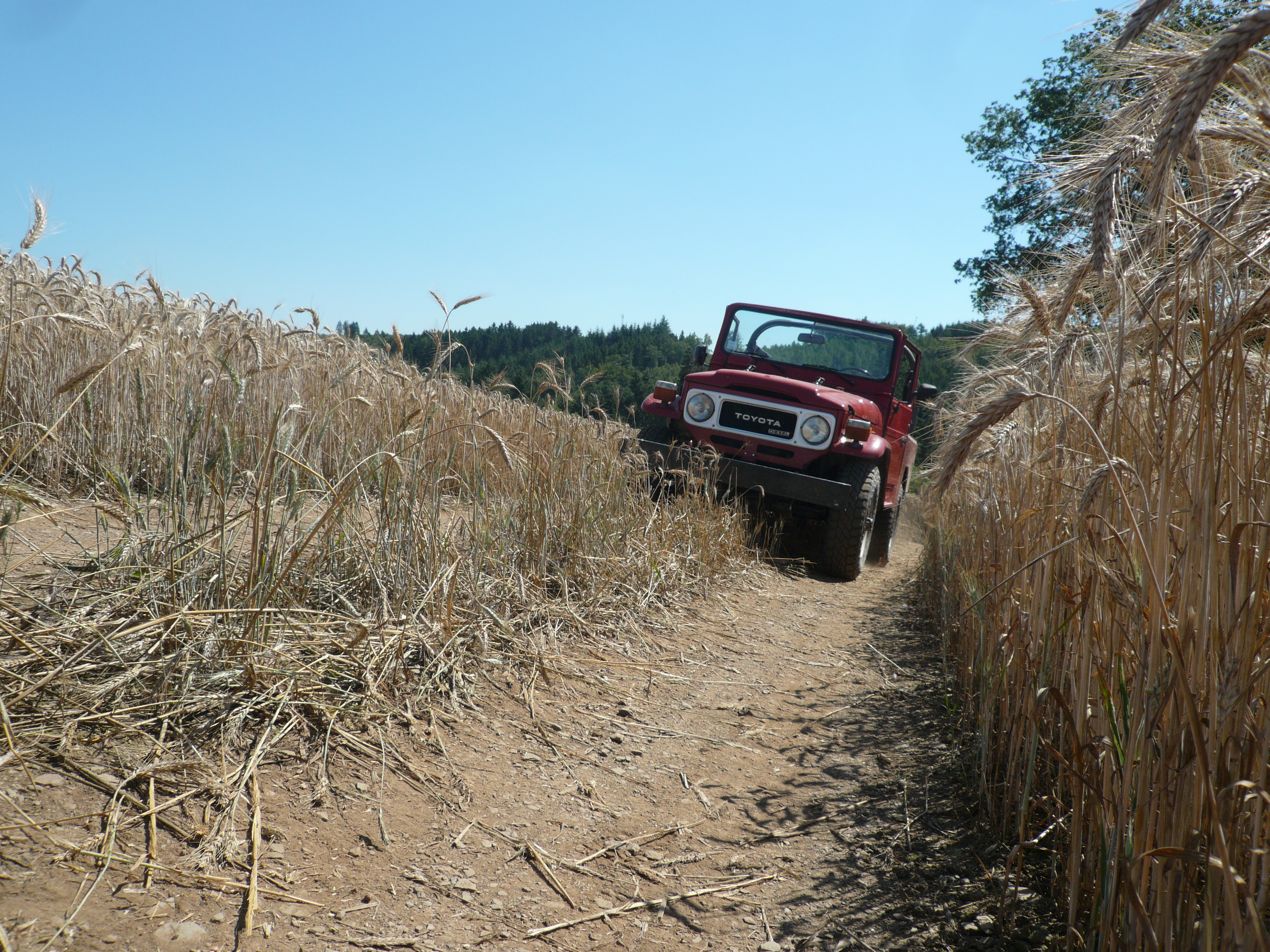 BJ46 Ardenes