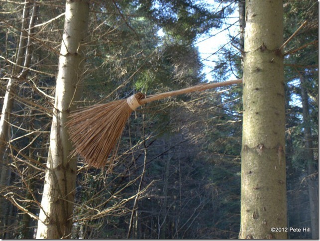 broom.jpg