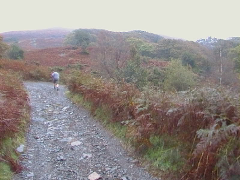 CAM_0442.jpg