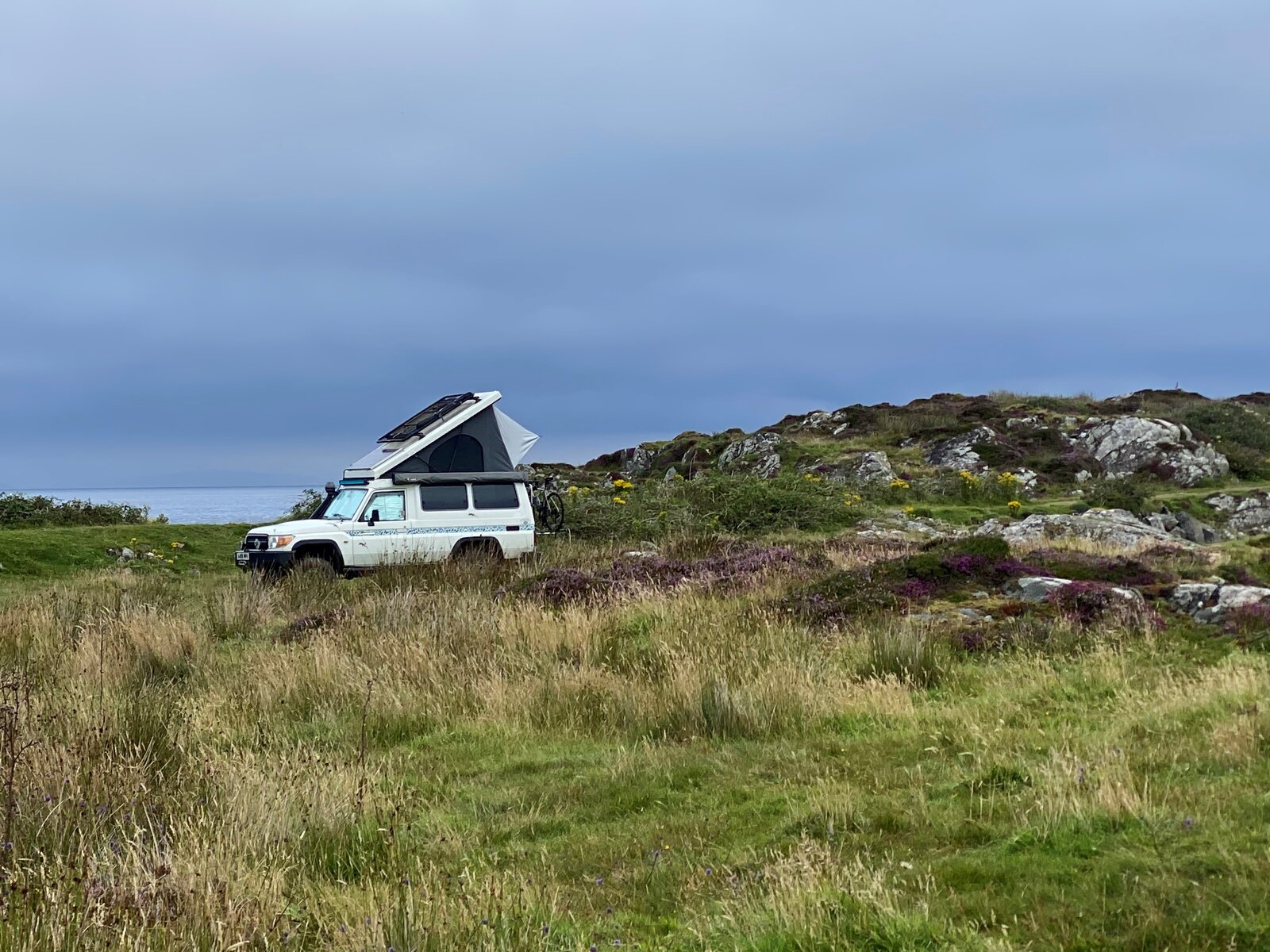 Cedric in Scotland (Gigha).jpg