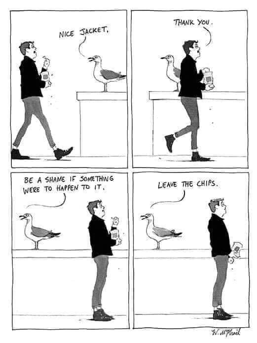 chips.jpg