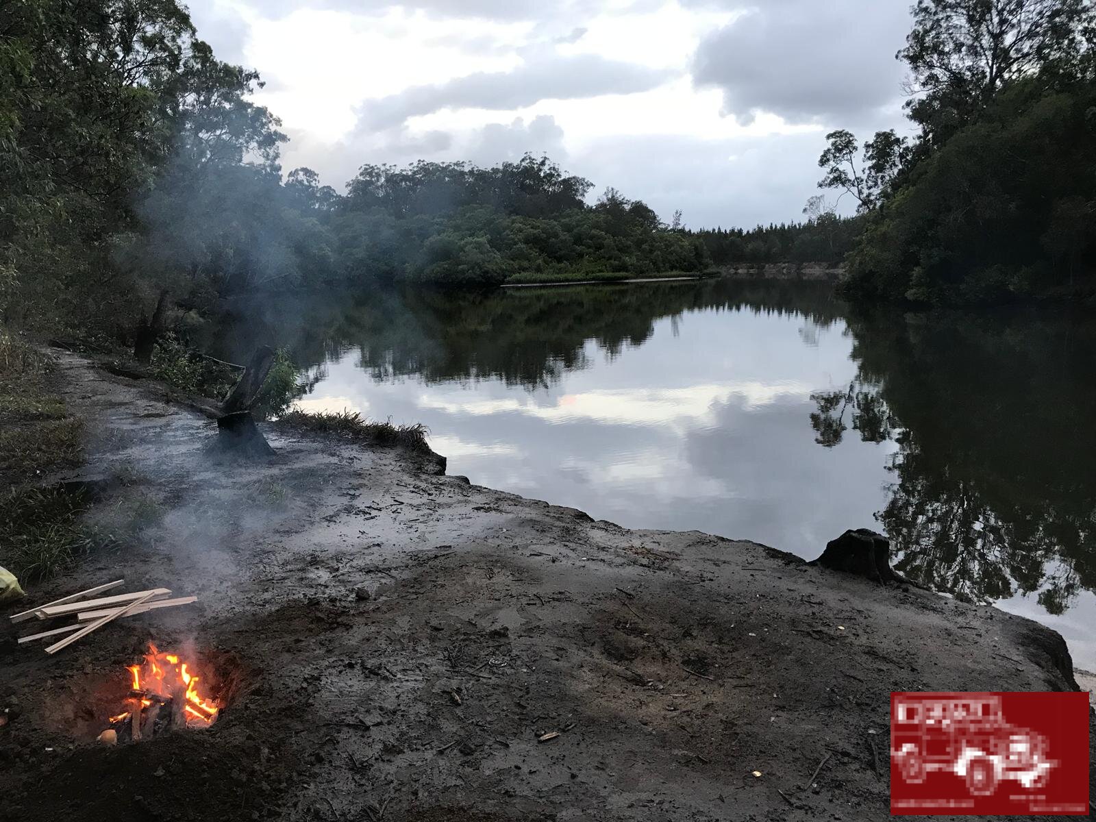 Coochin creek beerburrum forest