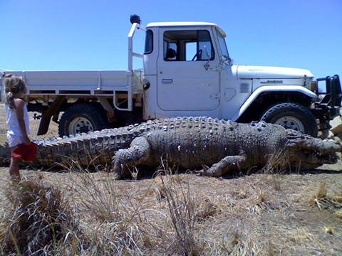 croc40_zpsd462b2d5.jpg