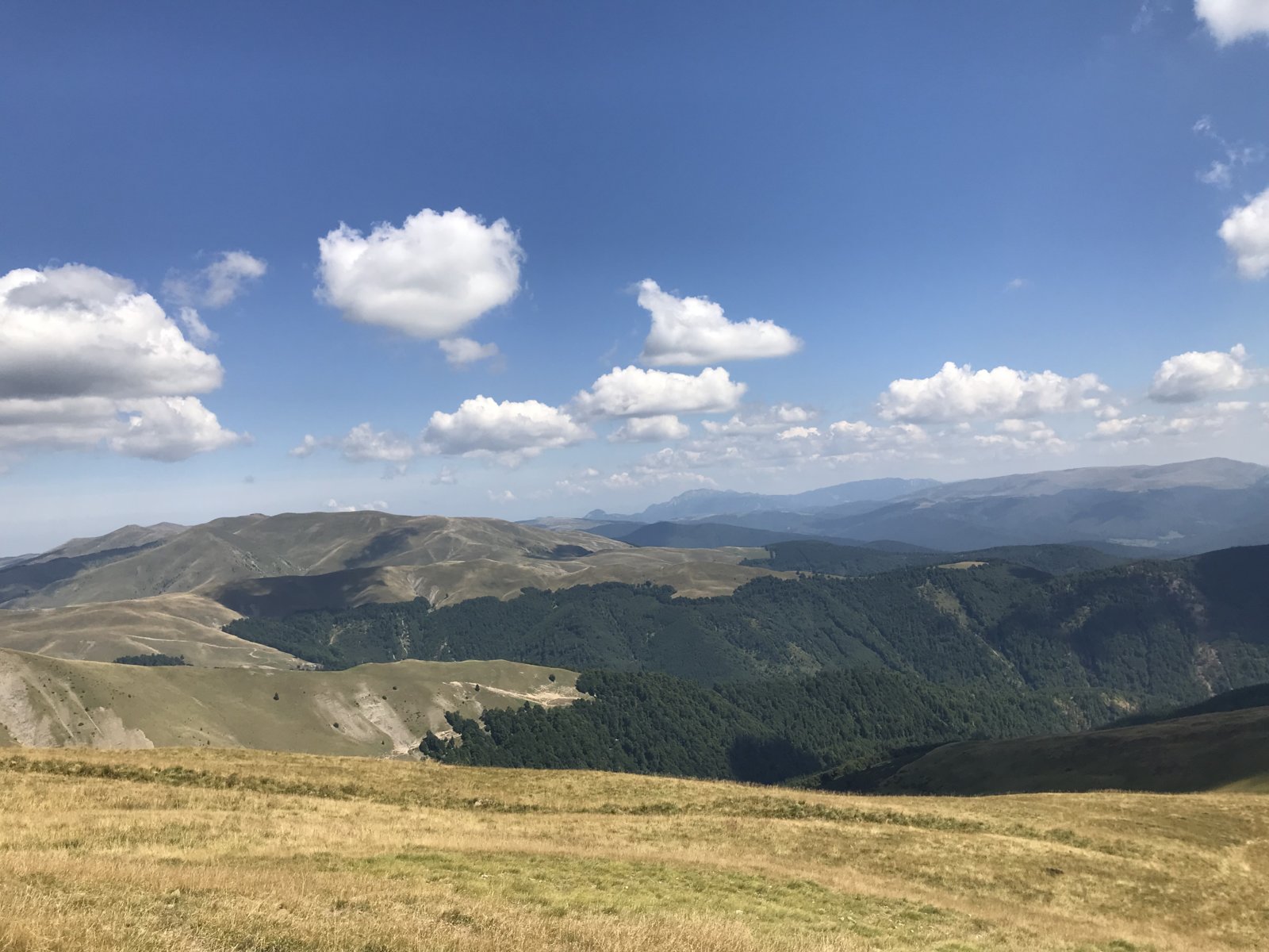 D98ABBCD-54B0-420C-A767-85B210C03F8B.jpeg
