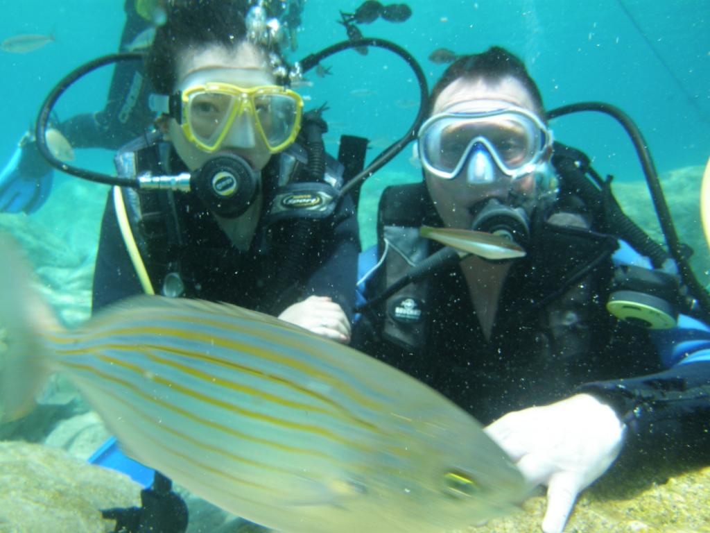 Diving11.jpg