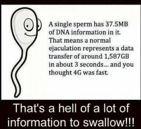 DNA.jpg